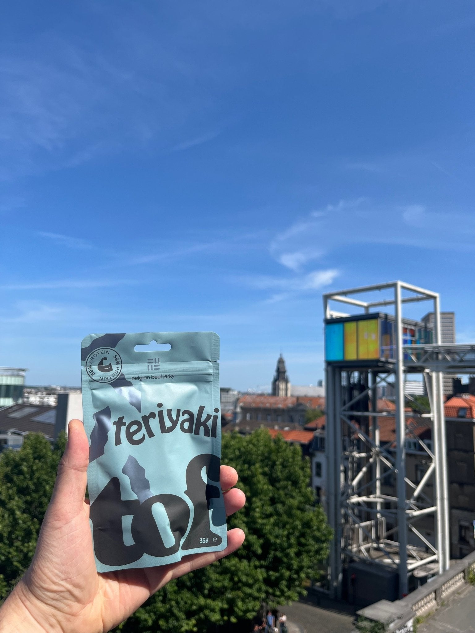 Tof Teriyaki - Tof